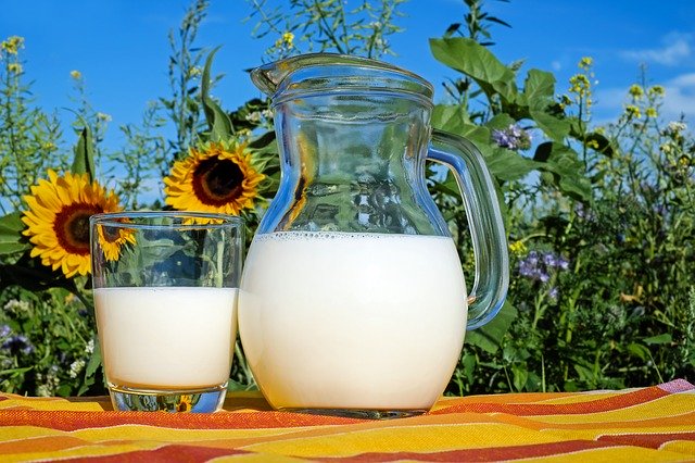 Alergia na laktozę czy białko mleka krowiego – co jest Twoim problemem?