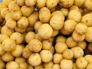 Jak ziemniaki mogą wzbogacić Twoją dietę?